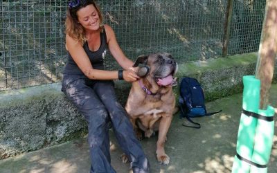 VIVALDI – volato sul ponte